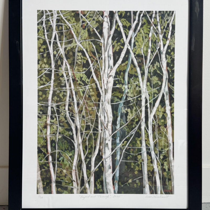 Beyond and Through by Anne Filiatrault